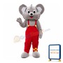 Cute Grey Koala Mascot Costume