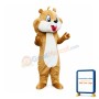 Friendly Adult Squirrel Mascot Costume