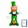 Leprechaun Mascot Costume