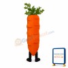 Carrot Mascot Costume