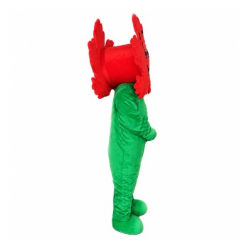Maple Leaf Mascot Costume