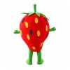 Strawberry Mascot Costume