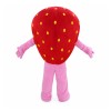 Happy Strawberry Girl Mascot Costume