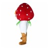 Strawberry Boy Mascot Costume