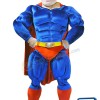 Power Super Hero Mascot Costume