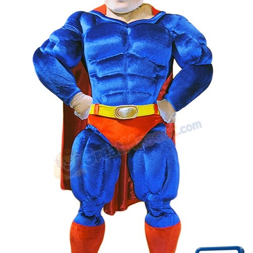Power Super Hero Mascot Costume