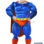 Power Super Hero Mascot Costume