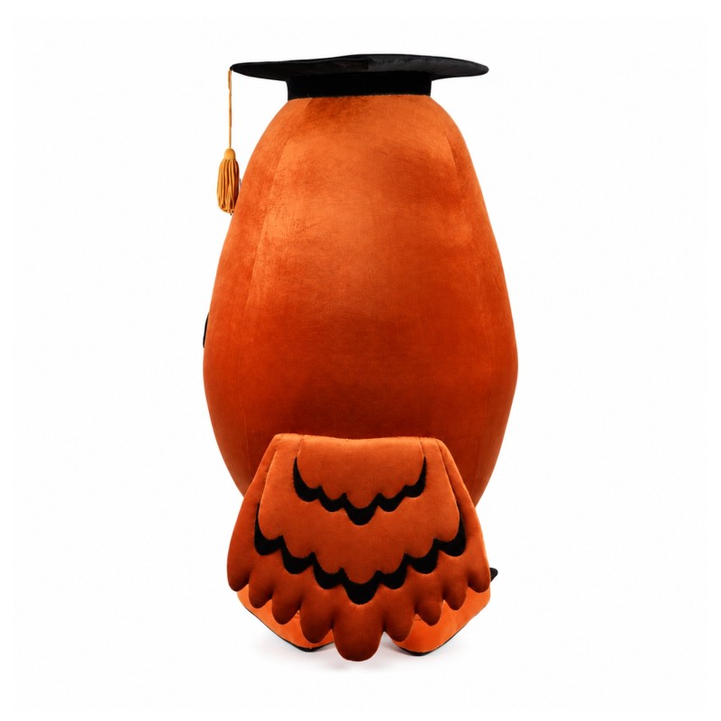 Learned Owl Mascot Costume