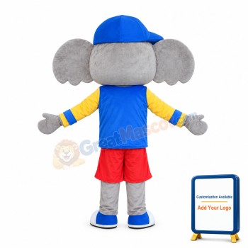 Sport Koala Mascot Costume