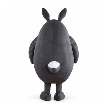 Totoro Mascot Costume