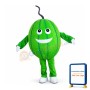 Watermelon Mascot Costume