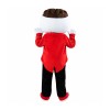 Long Brown Beard Boy Mascot Costume