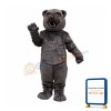 Cocomo Bear Mascot