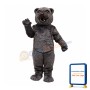 Cocomo Bear Mascot