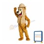 Roary Lion Mascot Costume