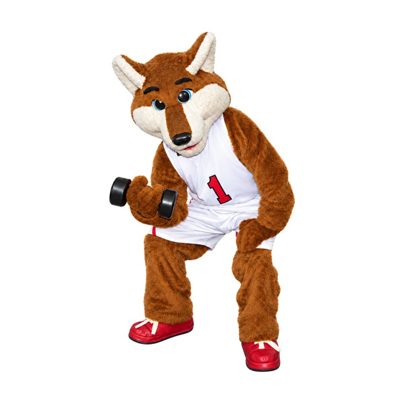 Basketball Sport Fox Costume Mascot Costume
