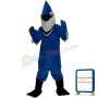 Thunderbird Mascot Costume