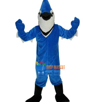 Thunderbird Mascot Costume