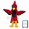 Red Eagle Mascot Adult Costume