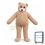 Teddy Bear Mascot Lightweight Costume
