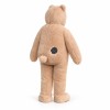 Teddy Bear Mascot Lightweight Costume