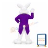 Purple Rabbit Mascot Costume