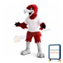 Sport Red Eagle Mascot Costume