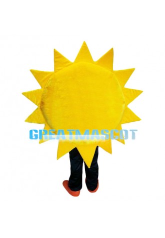 Sun Flower Mascot Costume