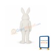 Lovely White Rabbit Mascot Costume
