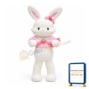 Lovely Cartoon Rabbit Mascot Costume