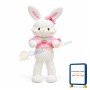 Lovely Cartoon Rabbit Mascot Costume