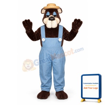 Country Bear Lightweight Mascot Costume