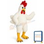 Funky Chicken Lightweight Mascot Costume