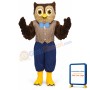 Grandpa Owl Lightweight Mascot Costume