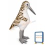 Sandpiper Lightweight Mascot Costume