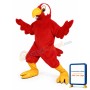 Marty Macaw Lightweight Mascot Costume