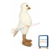 Pigeon Lightweight Mascot Costume