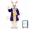Wendell w-Purple Jacket Lightweight Mascot Costume