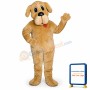 Bernie Bernard Lightweight Mascot Costume