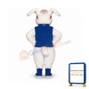 Mellow Fellow Lightweight Mascot Costume