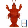 Lobster Lightweight Mascot Costume