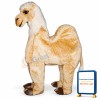 Two-Man Camel Lightweight Mascot Costume