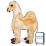 Two-Man Camel Lightweight Mascot Costume