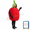 Raspberry Lightweight Mascot Costume