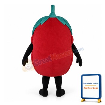 Raspberry Lightweight Mascot Costume
