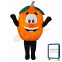 Pumpkin Lightweight Mascot Costume