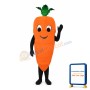 Carrot Lightweight Mascot Costume