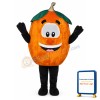 Pumpkin Lightweight Mascot Costume