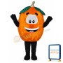 Pumpkin Lightweight Mascot Costume
