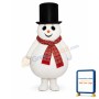 Madcap snow Boy Lightweight Mascot Costume